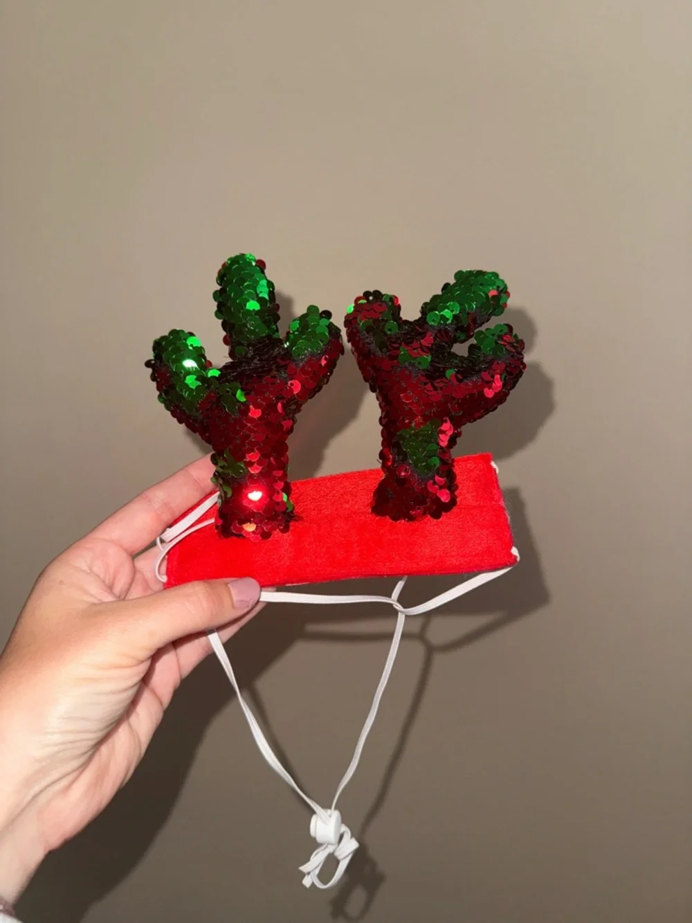 Christmas Dog Accessories Set